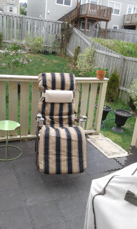 Cozy pet friendly Home St. John's Zewnętrze zdjęcie